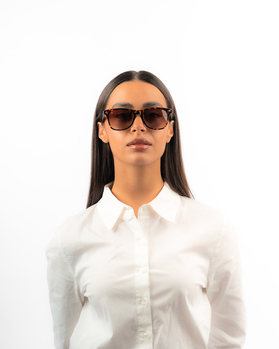 DANIEL AMBER - Red Raven