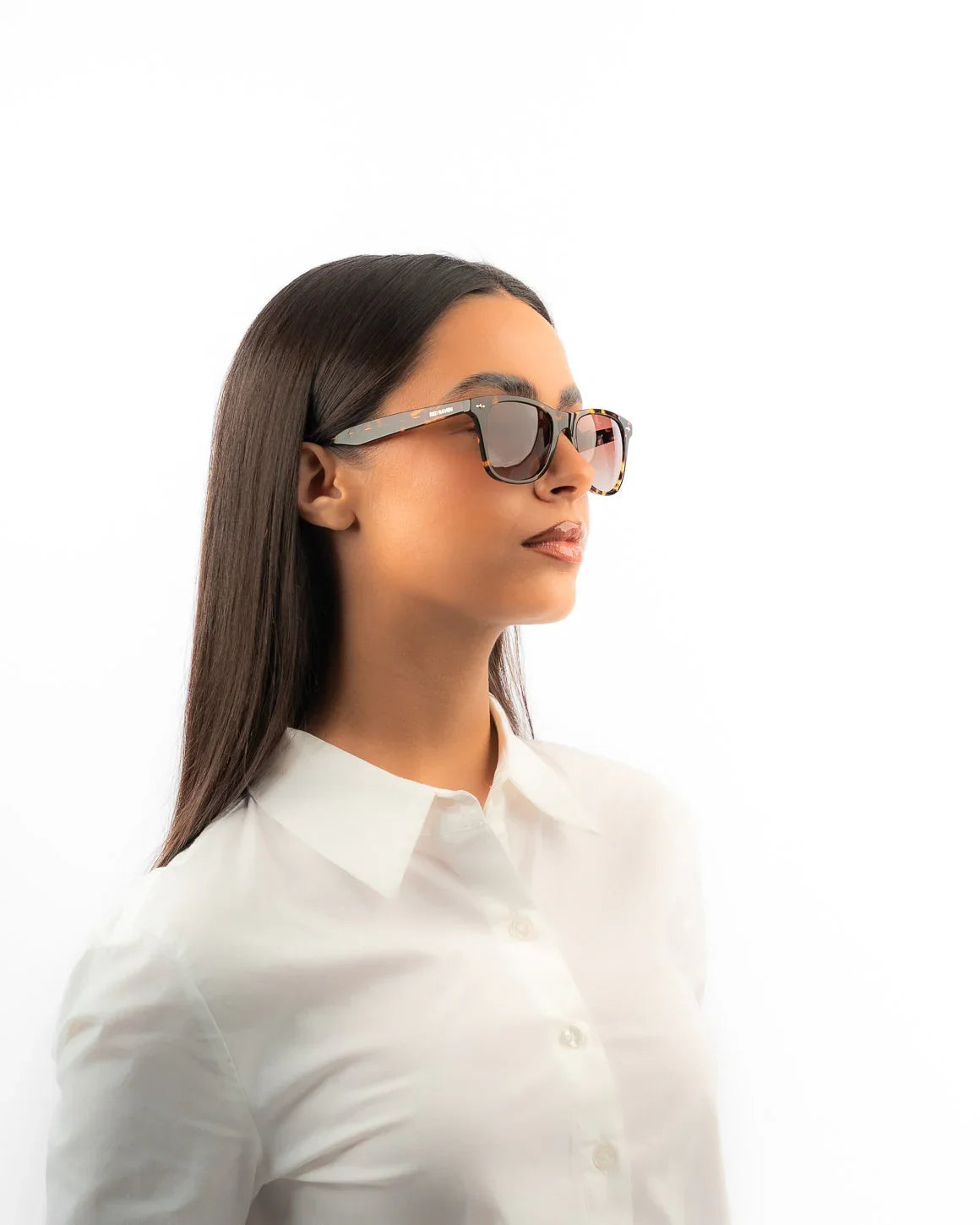 DANIEL AMBER - Red Raven