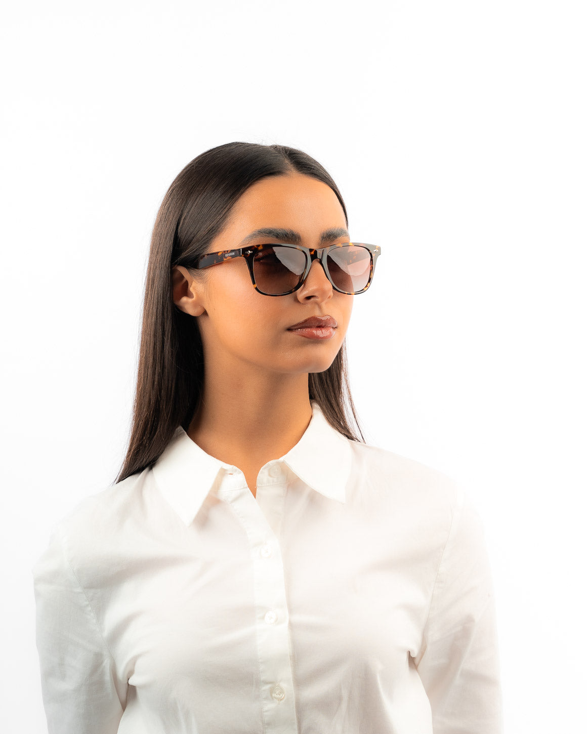 DANIEL AMBER - Red Raven