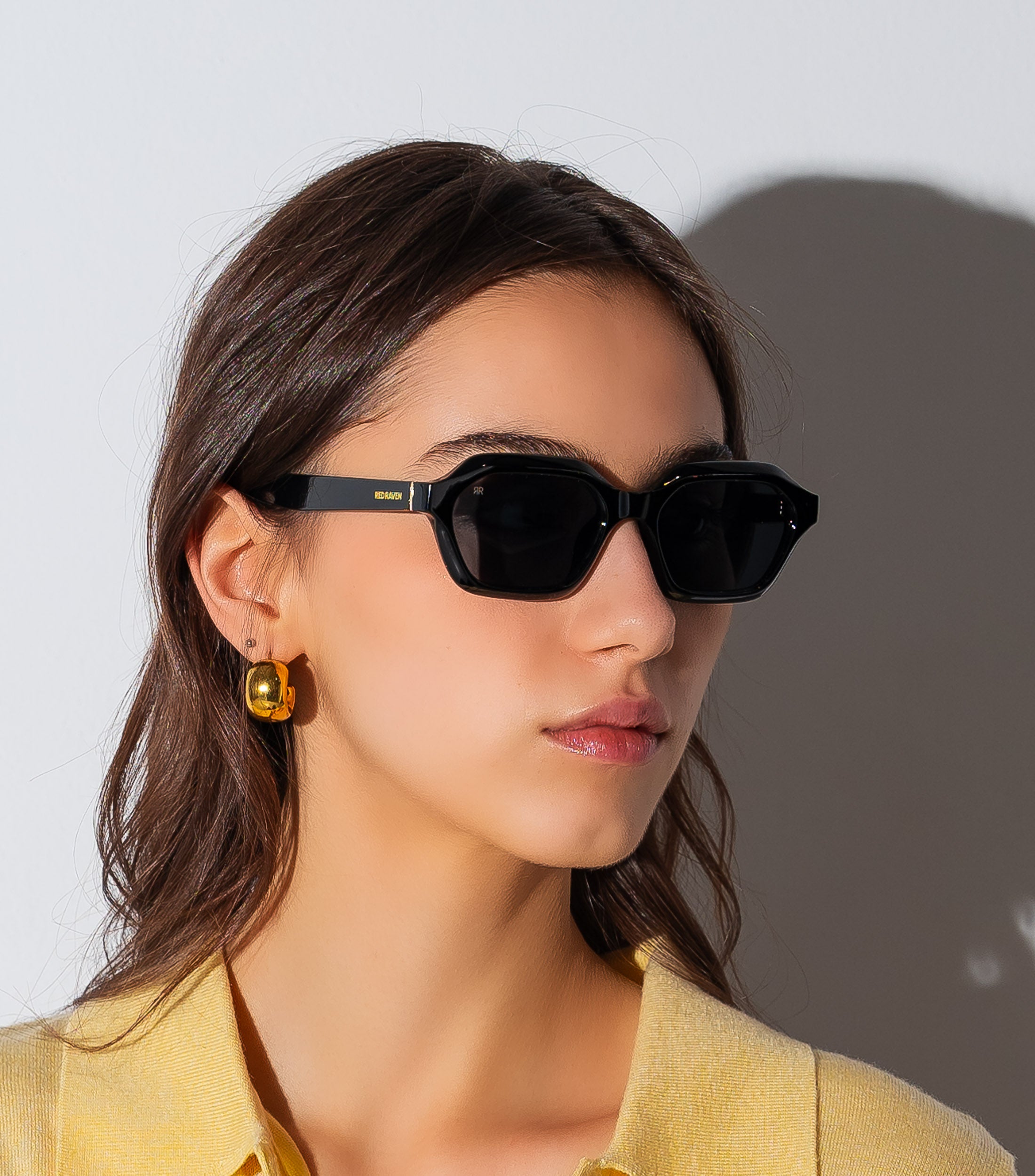 PAUL BLACK - Red Raven