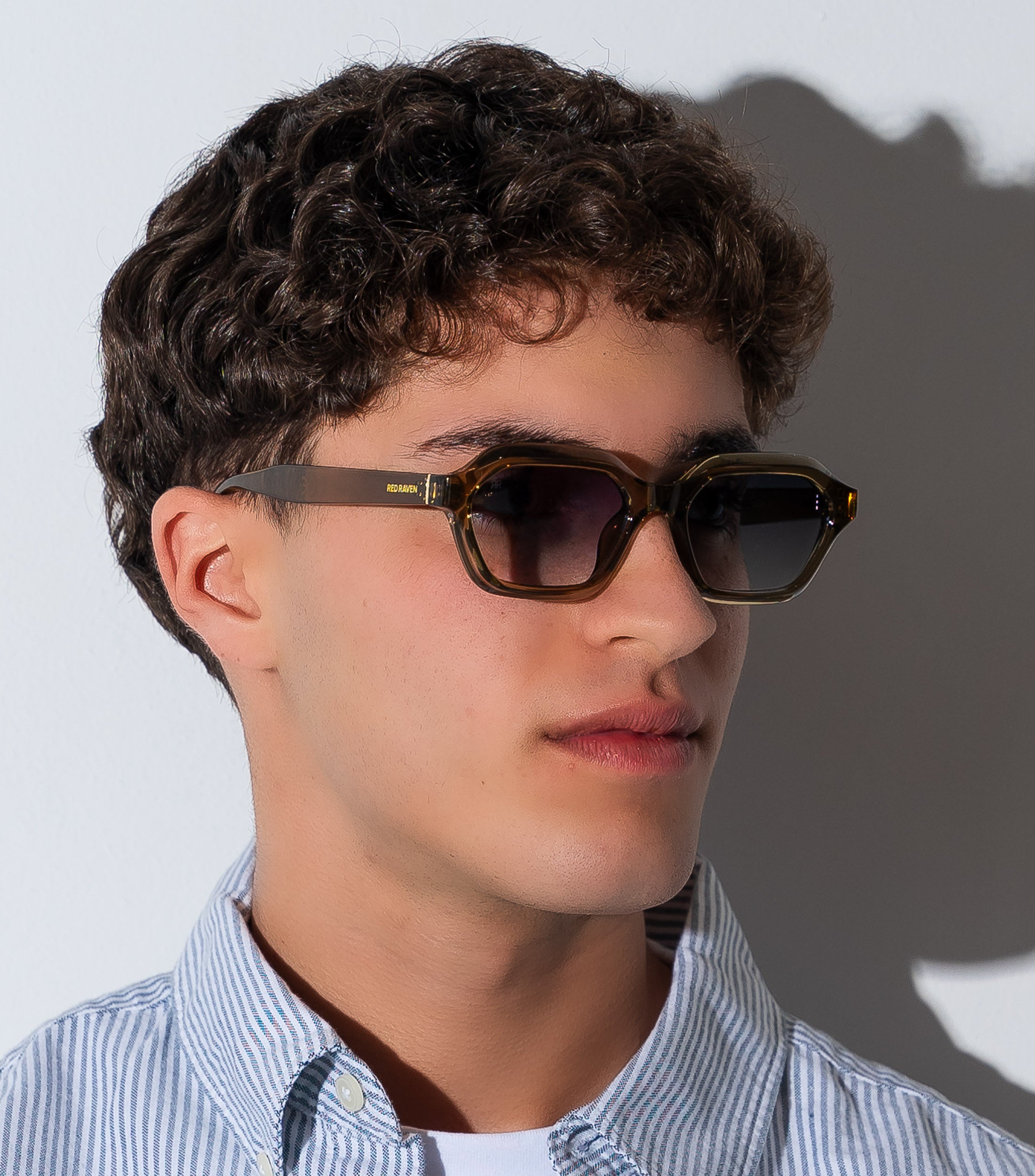 PAUL SANDY EMERALD - Red Raven