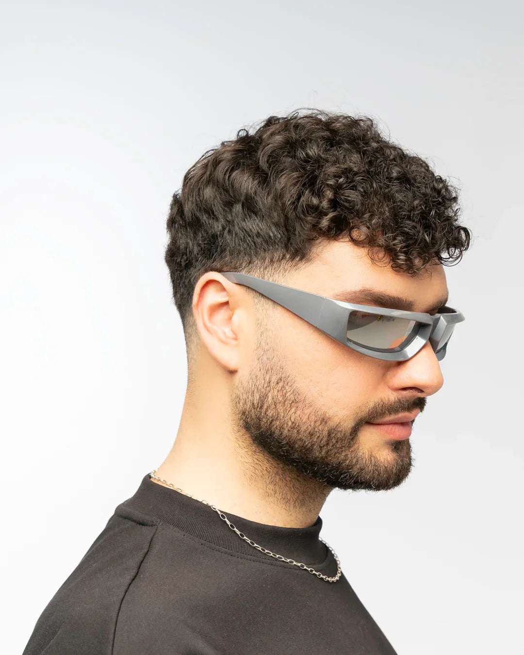 END-GAME SILVER - Red Raven