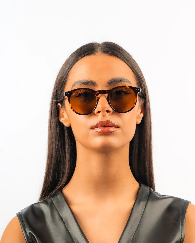 Men's Sunglasses Red Raven Brown