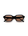 PAUL DARK BROWN