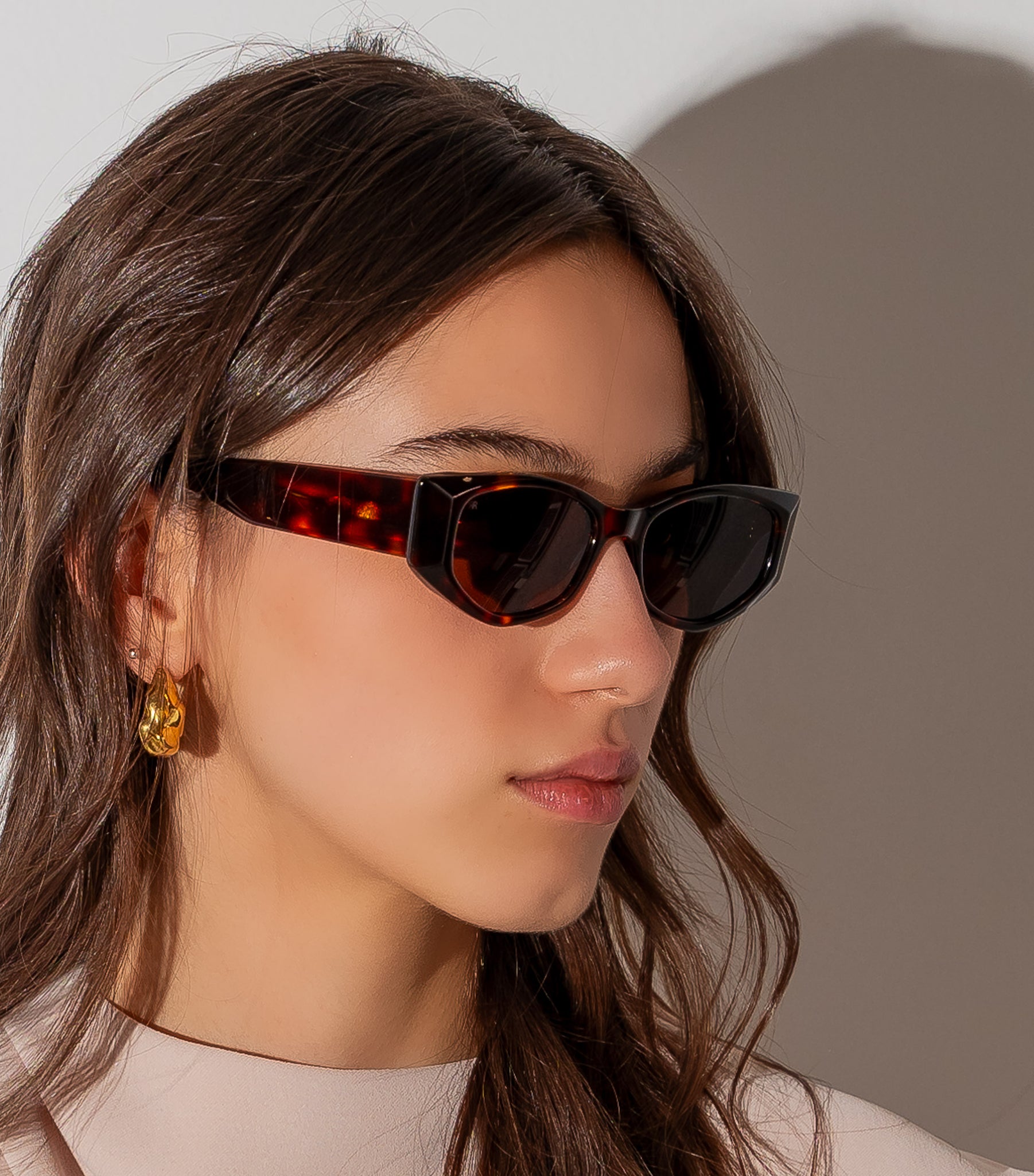 Men's Sunglasses Red Raven Brown