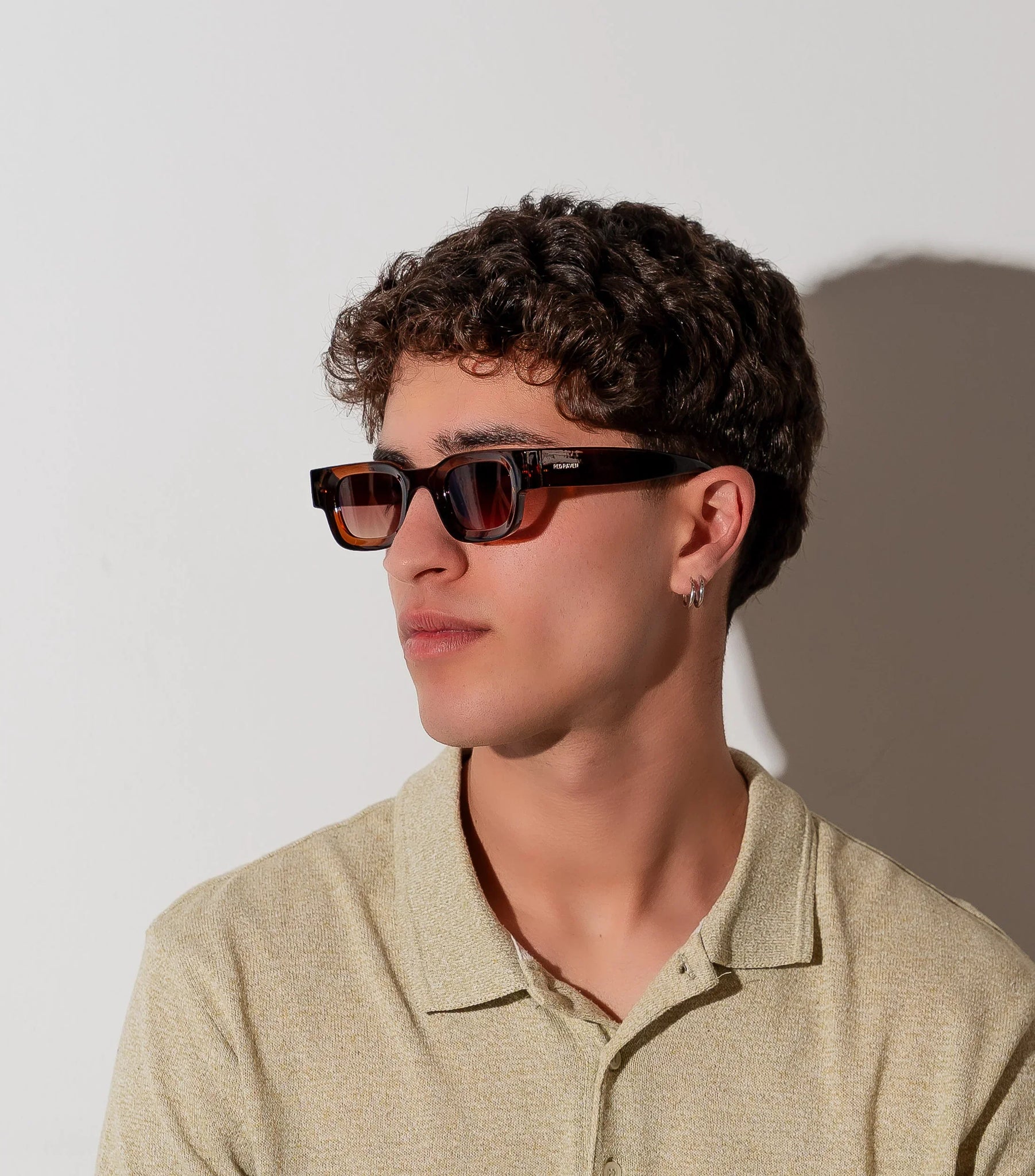 Men's Sunglasses Red Raven Brown