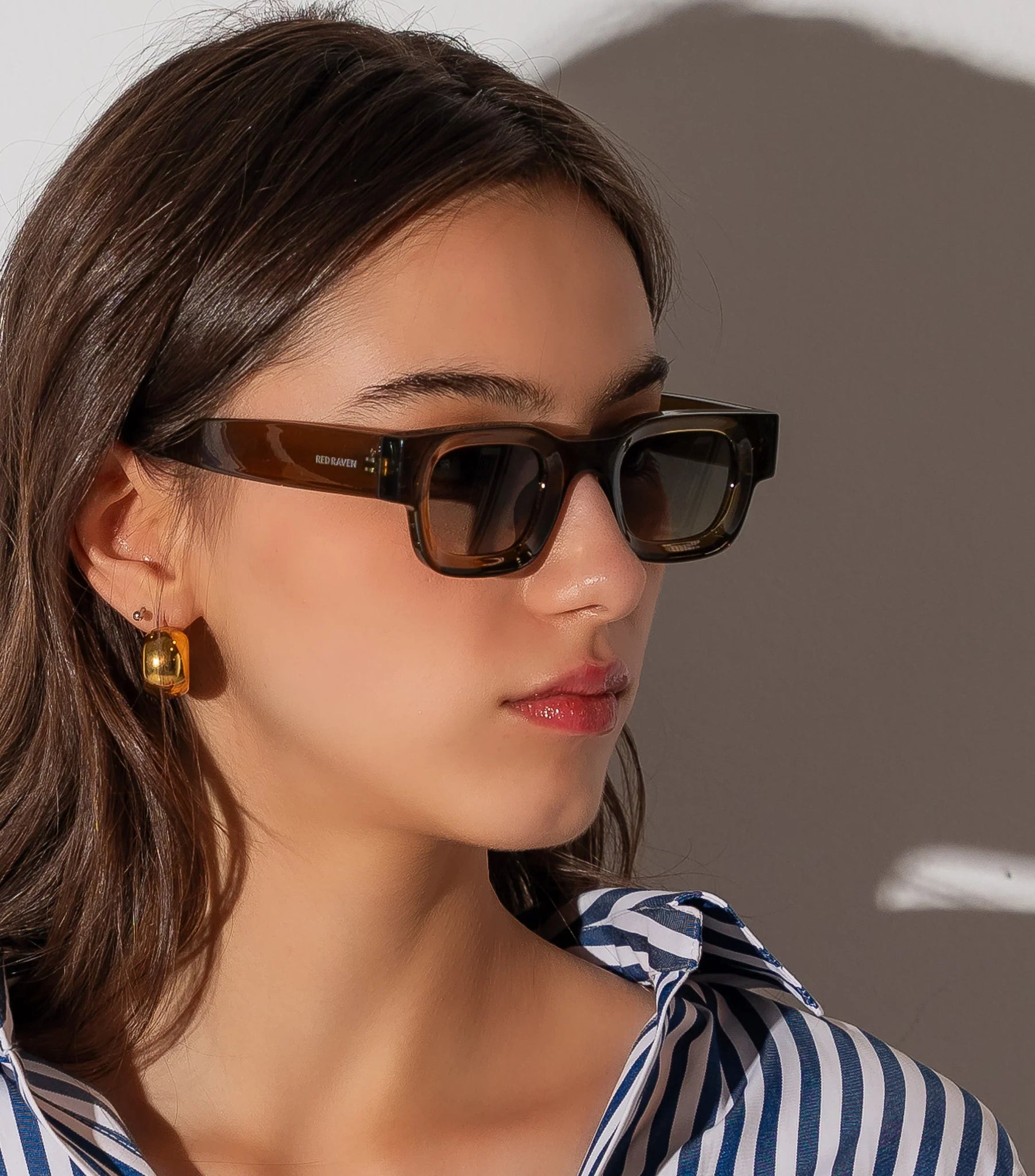 Men's Sunglasses Red Raven Brown