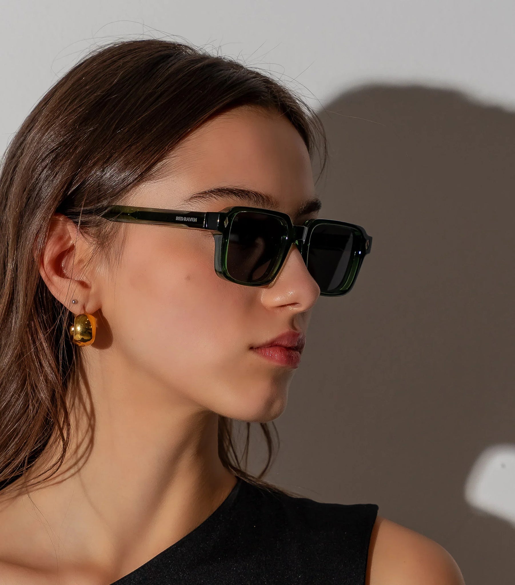 Men's Sunglasses Red Raven Green