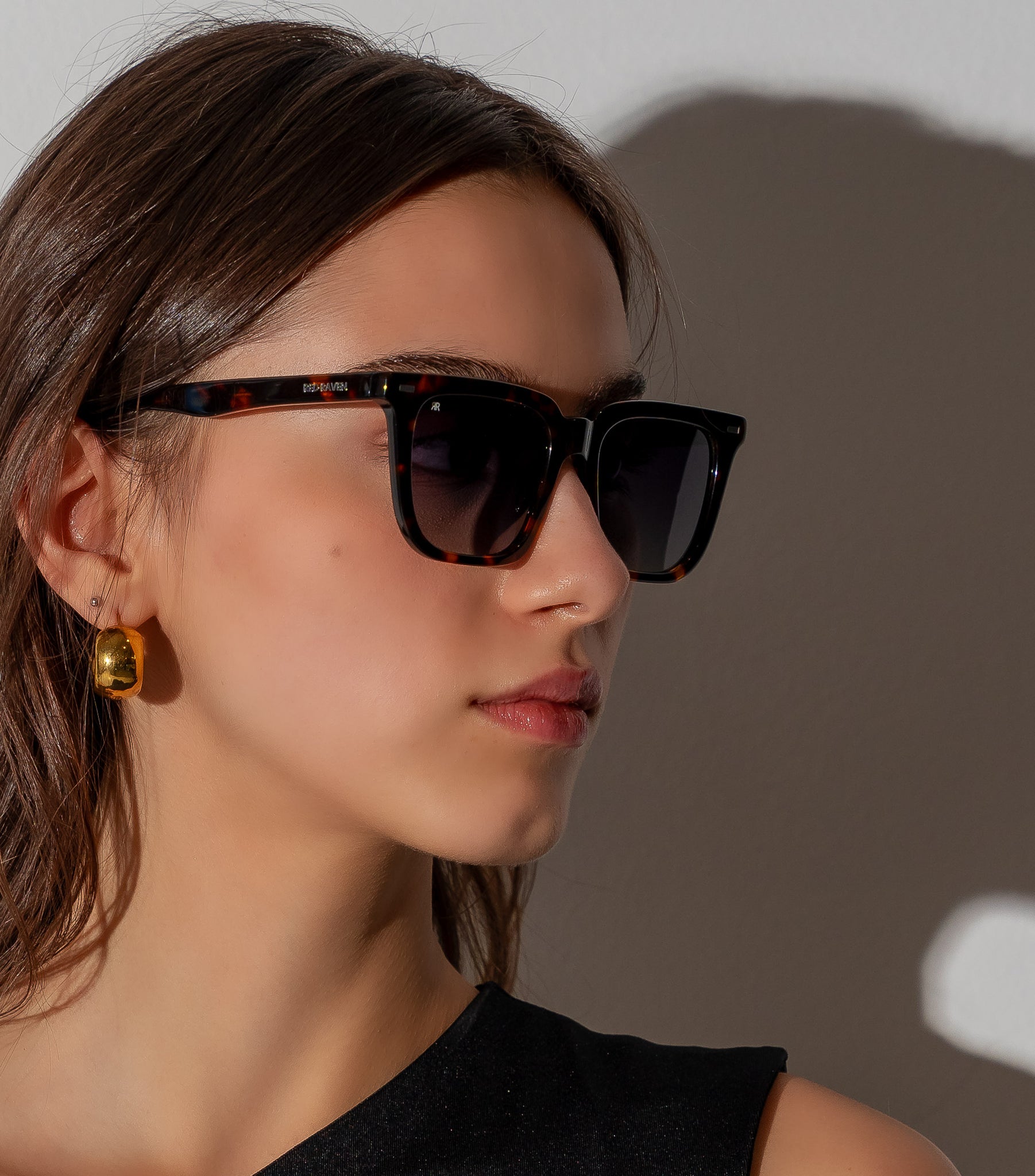 Men's Sunglasses Red Raven Brown