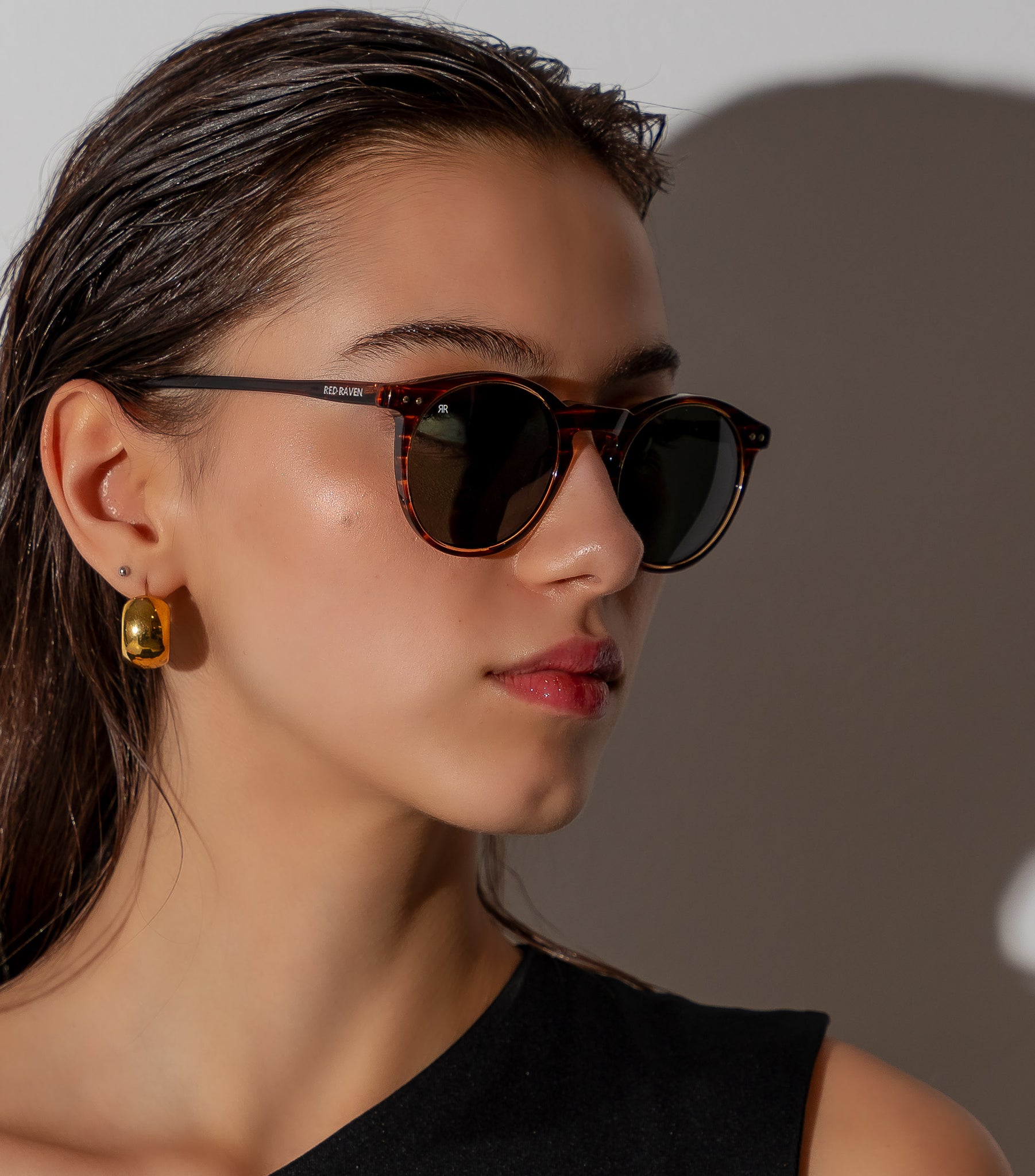 Men's Sunglasses Red Raven Brown