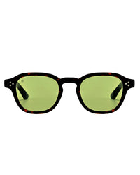 CAMDEM TORTOISE GREEN