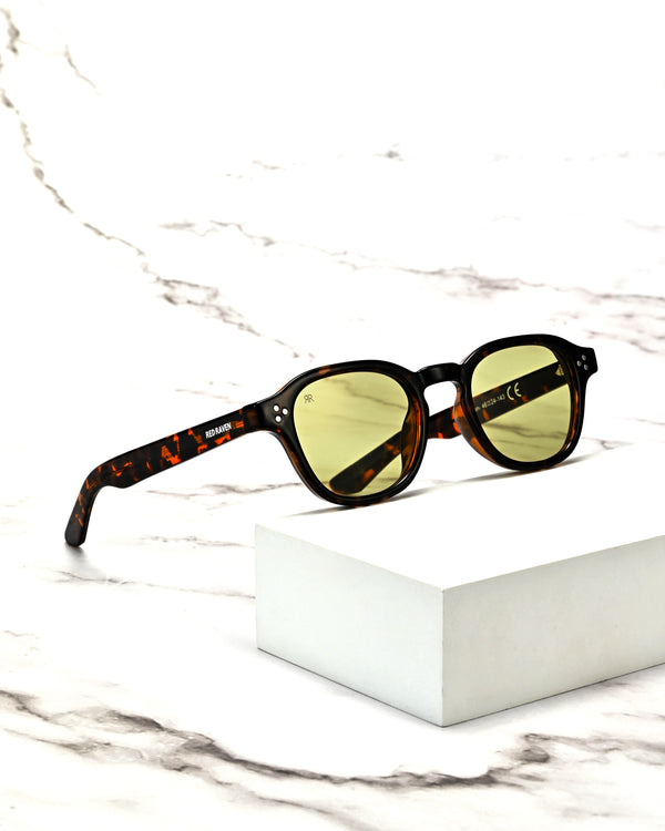 CAMDEM TORTOISE GREEN