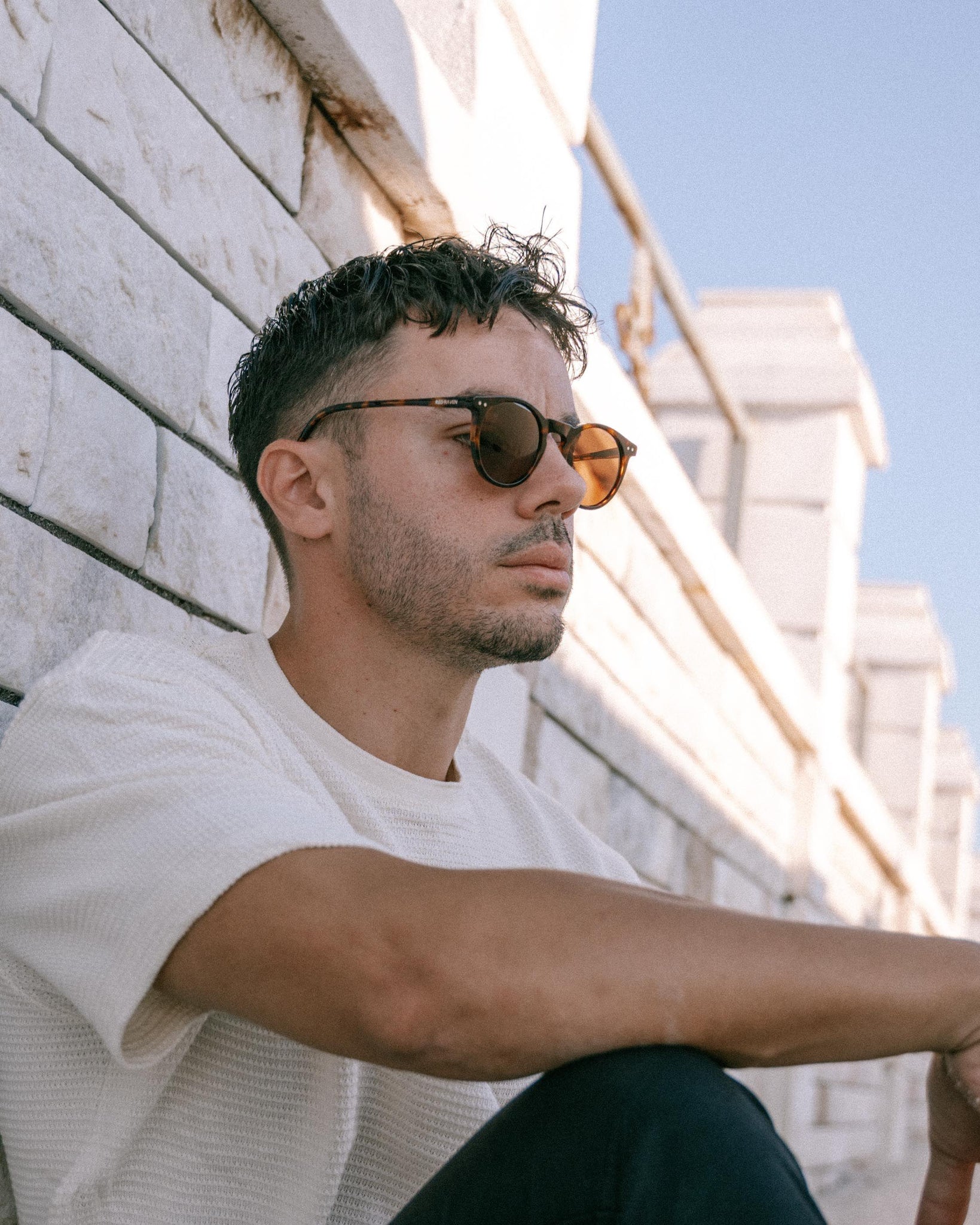 Men's Sunglasses Red Raven Brown