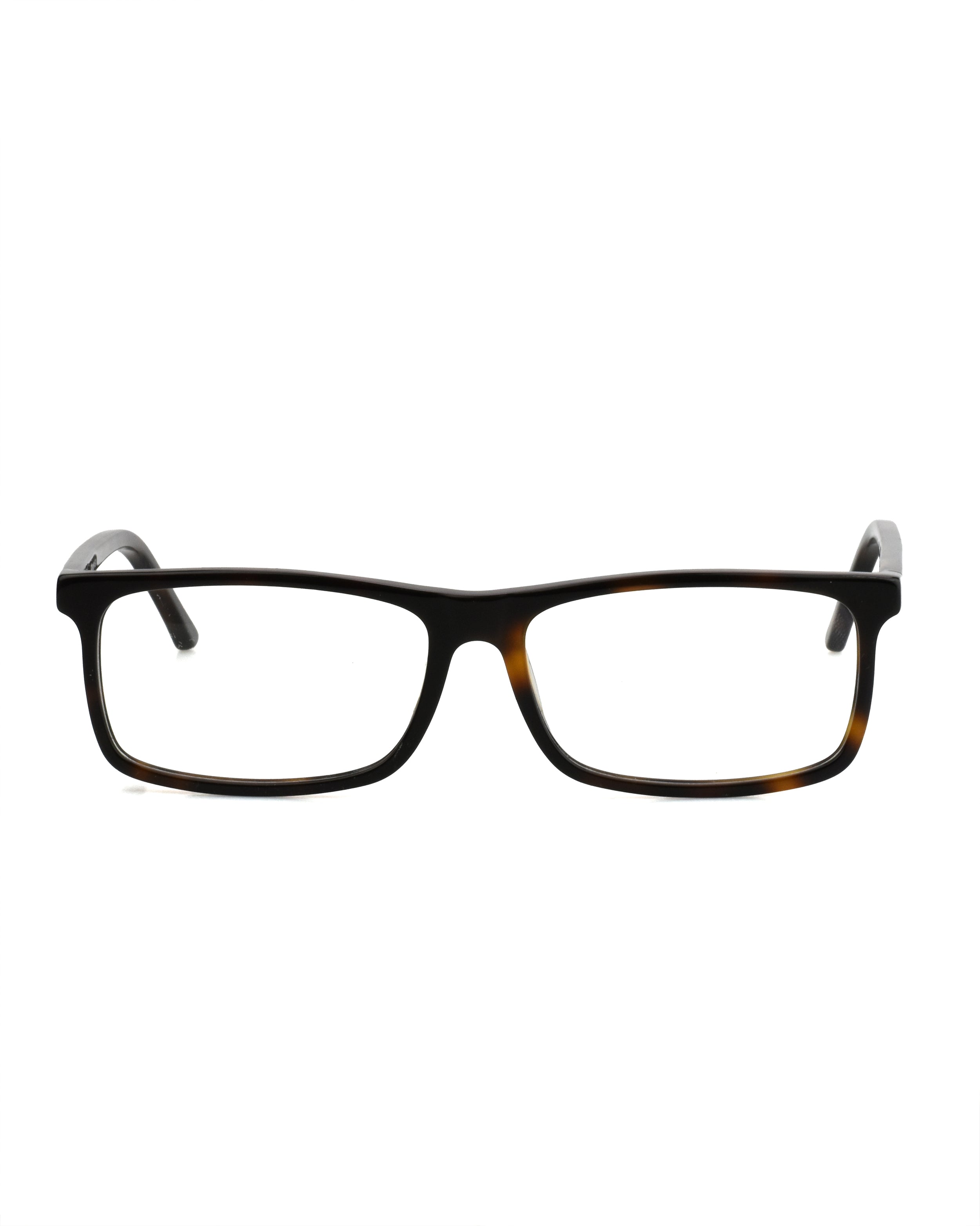 OPTICAL #002 TORTOISE