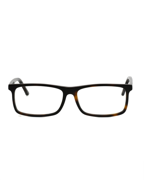 OPTICAL #002 TORTOISE