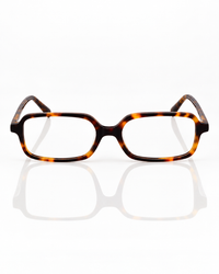 OPTICAL #008 AMBER