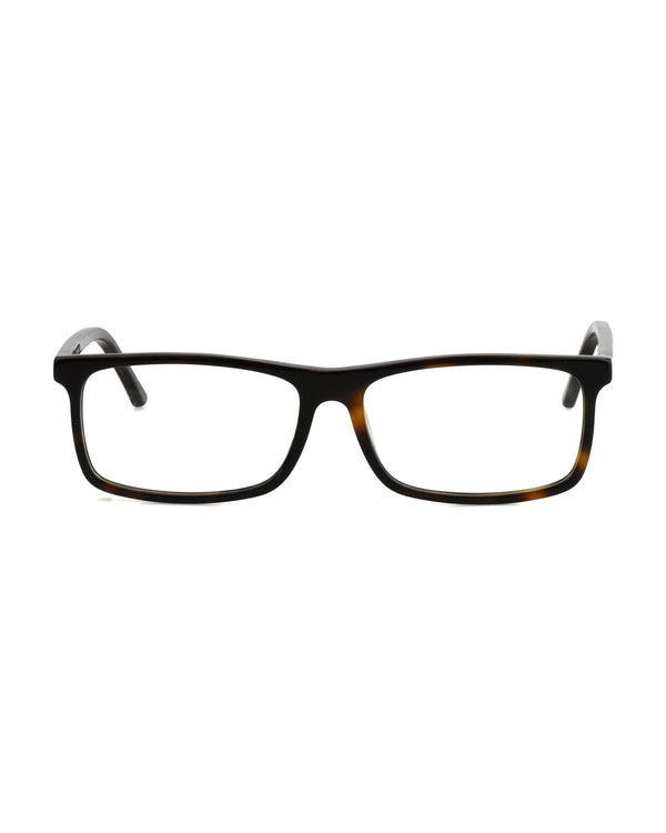 OPTICAL #002 TORTOISE