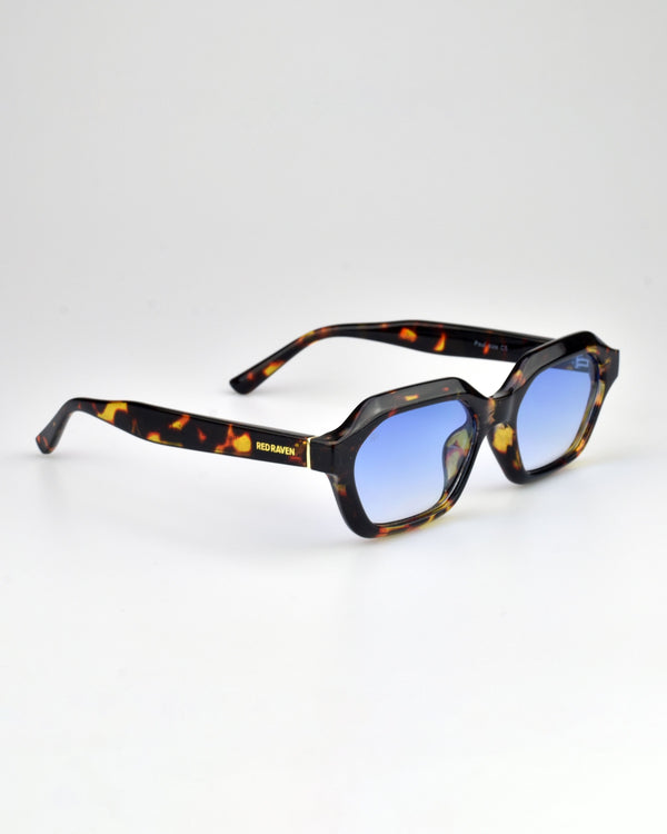 PAUL TORTOISE BLUE - Red Raven